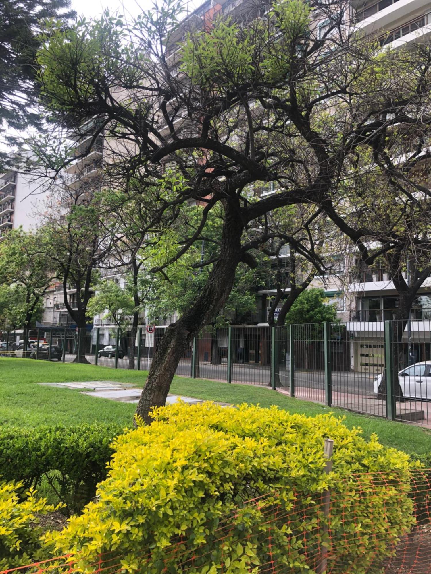 Comodo Y Calido * Ciudad Autónoma de Buenos Aires